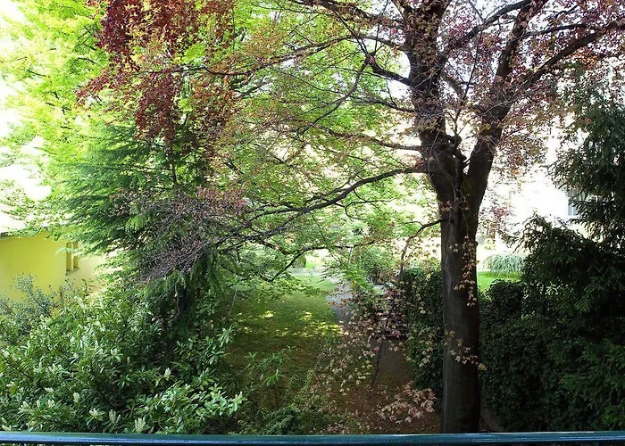 维多利亚酒店 4* 洛桑